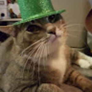 Meet your Posher, Conny